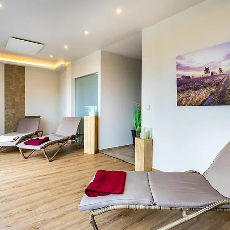 Hoepen فندق شنيفردينغين