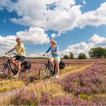 Hoepen فندق شنيفردينغين