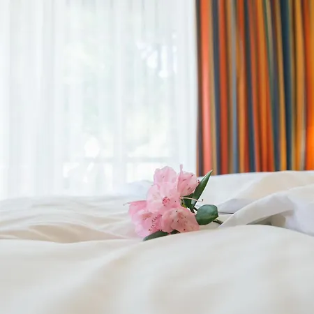 فندق Hoepen شنيفردينغين