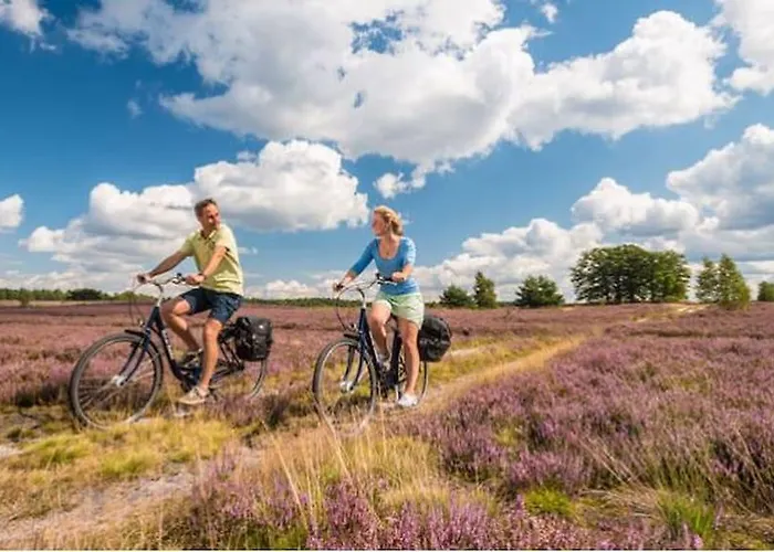 Hoepen Hotel Schneverdingen